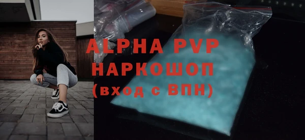 mdpv Бородино