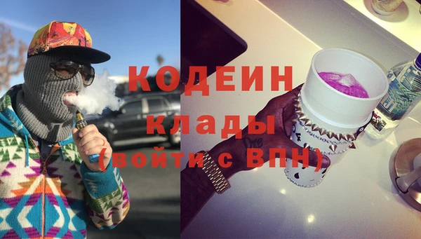 прущие грибы Верея