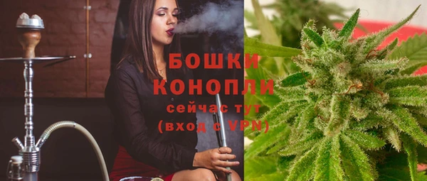 mdpv Бородино