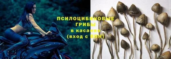крисы Верхнеуральск
